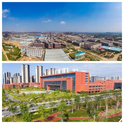 仲恺高新区东江科技园锚定目标提能级,积蓄发展新动能 奋力建设高质量
